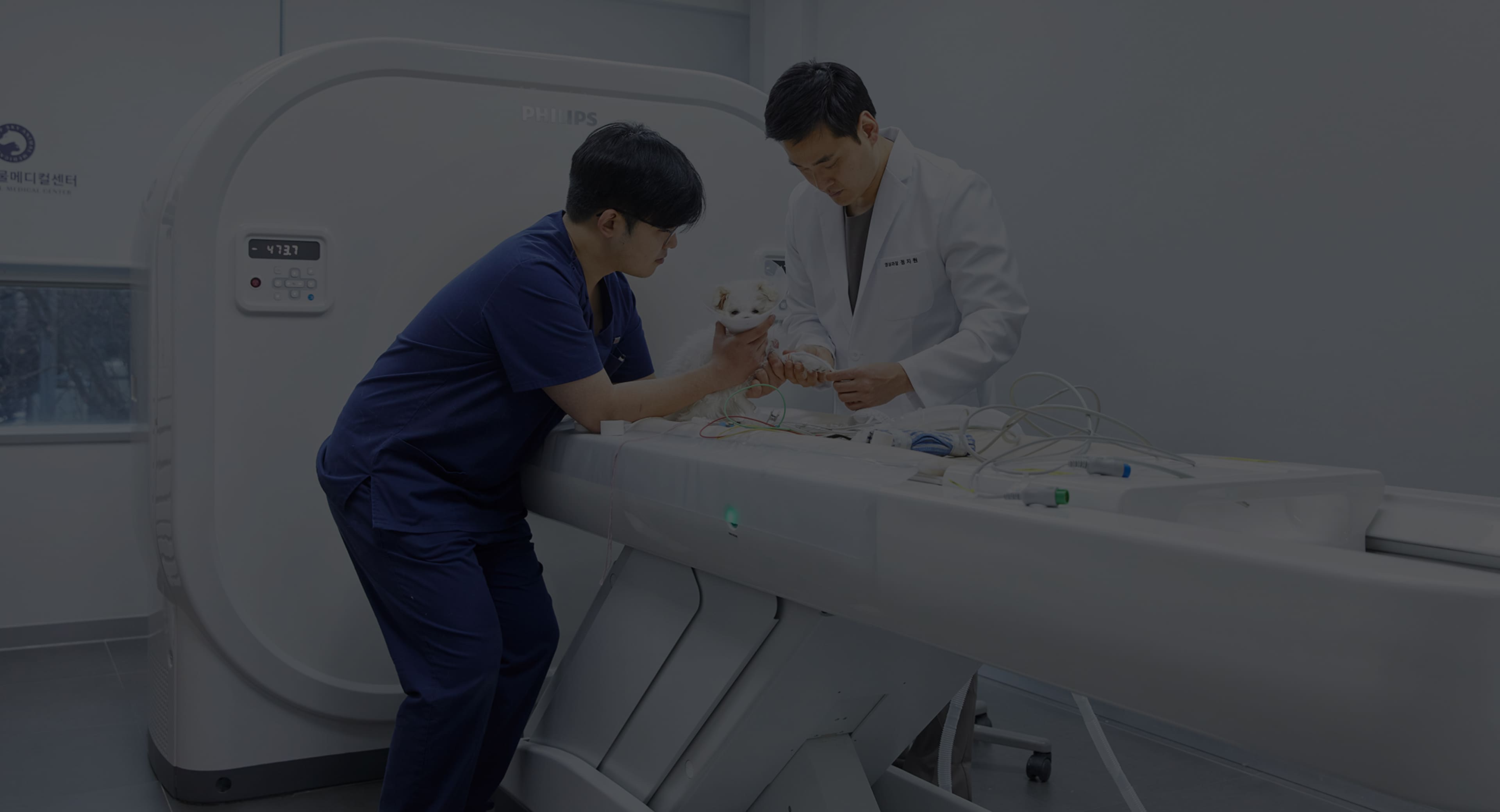 노령성/중증 질환 - 내과 심화진료 전문