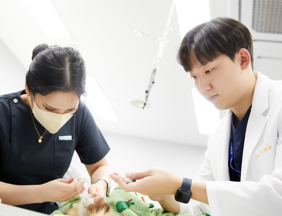 숙련된 전문 의료진이 상주 하며, 돌발적인 응급 상황에서도  최적의 치료
